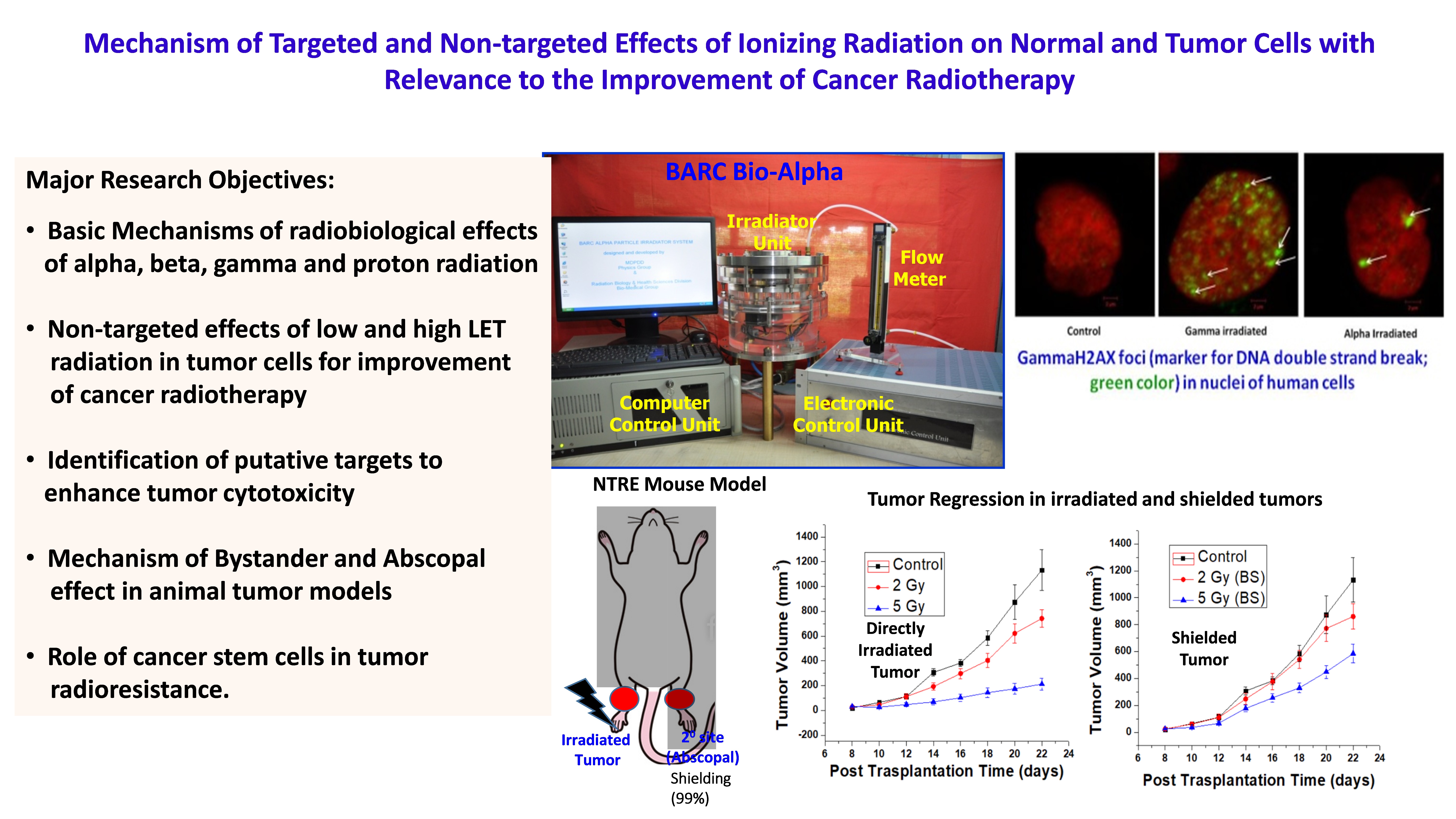 Mechanism of Targeted and Non-targeted Effects of Ionizing Radiation
