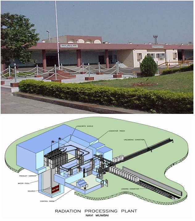 Plastic Scintillators for Radiation Detection