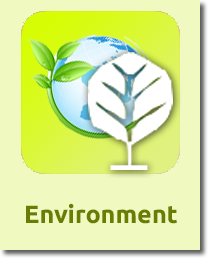 Environment