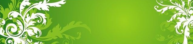 प्रस्तुति हेतु दिशा-निर्देश