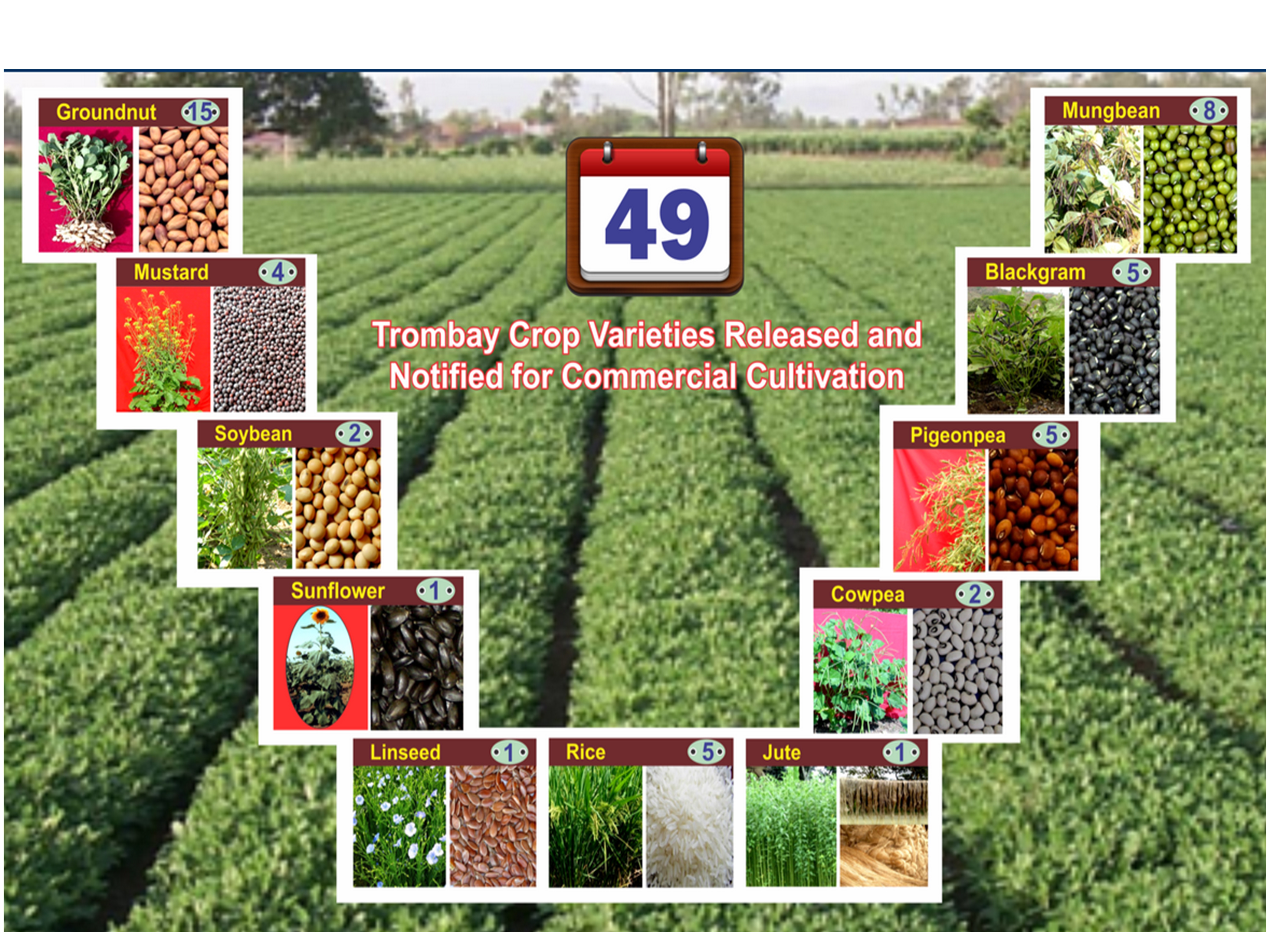 Trombay BARC Crop varieties