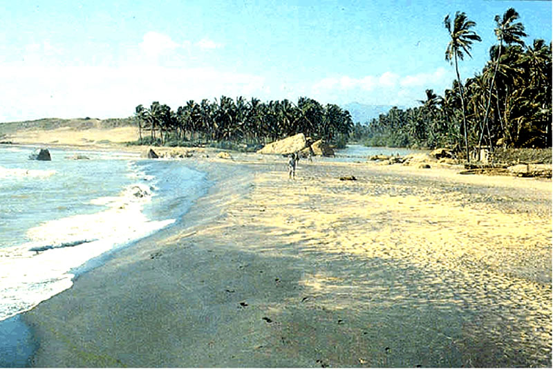 Thorium Fule Cycle-Sand containing Monazite in Kerala Sea Beach, India 