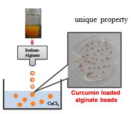 Curcumin loaded alginate beads (Algi-CURe)