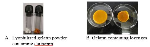 Curcumin loaded in Gelatin (Gel-CURe)